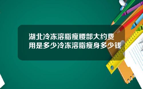 湖北冷冻溶脂瘦腰部大约费用是多少冷冻溶脂瘦身多少钱