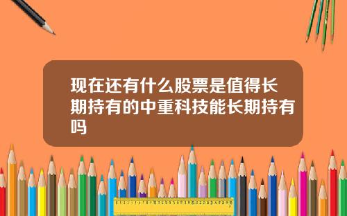 现在还有什么股票是值得长期持有的中重科技能长期持有吗