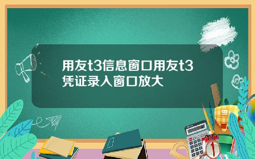 用友t3信息窗口用友t3凭证录入窗口放大