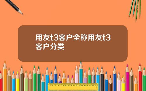 用友t3客户全称用友t3客户分类