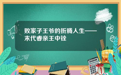 败家子王爷的折腾人生——末代睿亲王中铨