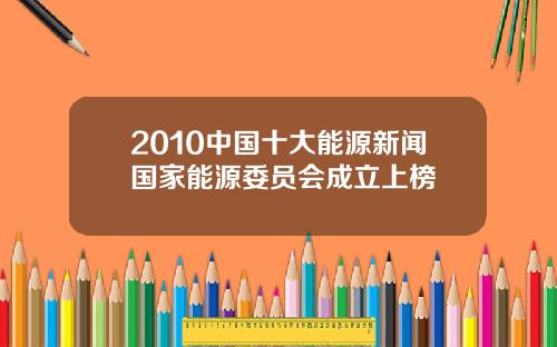2010中国十大能源新闻国家能源委员会成立上榜