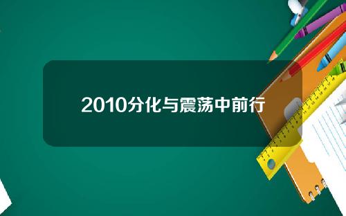 2010分化与震荡中前行