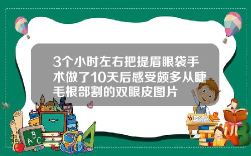 3个小时左右把提眉眼袋手术做了10天后感受颇多从睫毛根部割的双眼皮图片