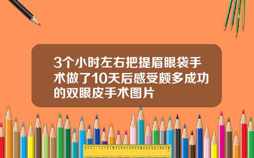 3个小时左右把提眉眼袋手术做了10天后感受颇多成功的双眼皮手术图片