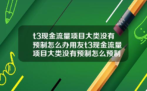 t3现金流量项目大类没有预制怎么办用友t3现金流量项目大类没有预制怎么预制