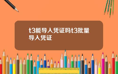 t3能导入凭证吗t3批量导入凭证