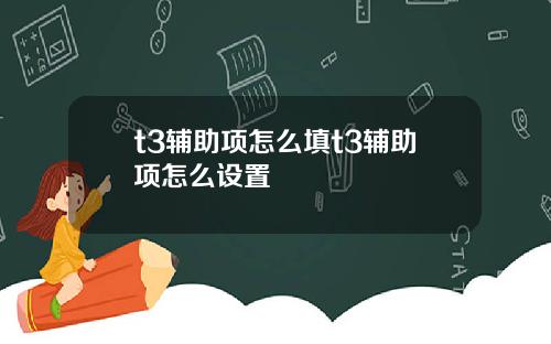 t3辅助项怎么填t3辅助项怎么设置
