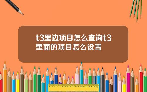 t3里边项目怎么查询t3里面的项目怎么设置