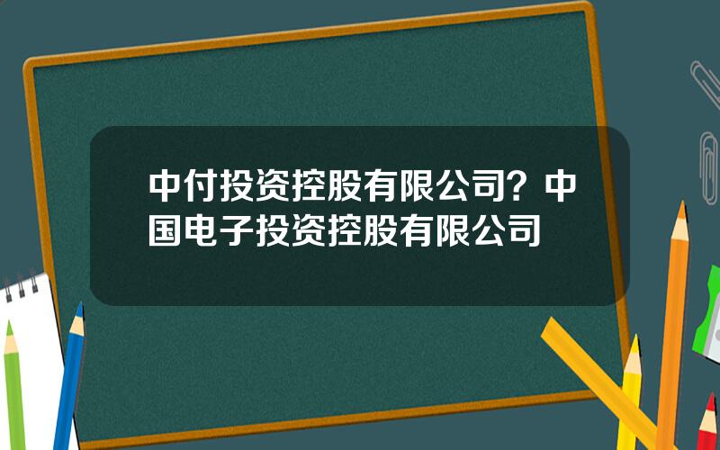 中付投资控股有限公司？中国电子投资控股有限公司