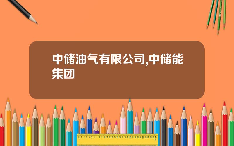 中储油气有限公司,中储能集团