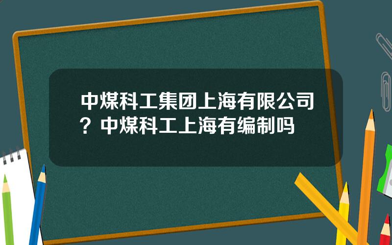 中煤科工集团上海有限公司？中煤科工上海有编制吗