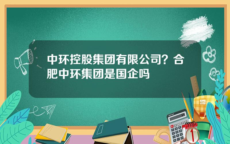 中环控股集团有限公司？合肥中环集团是国企吗