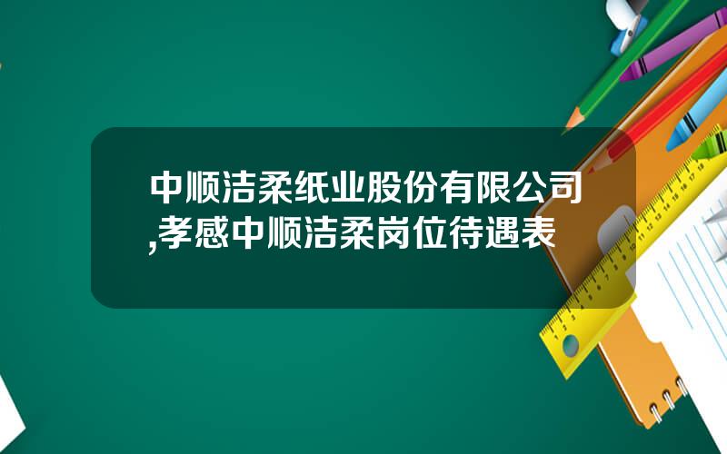 中顺洁柔纸业股份有限公司,孝感中顺洁柔岗位待遇表
