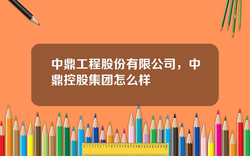 中鼎工程股份有限公司，中鼎控股集团怎么样