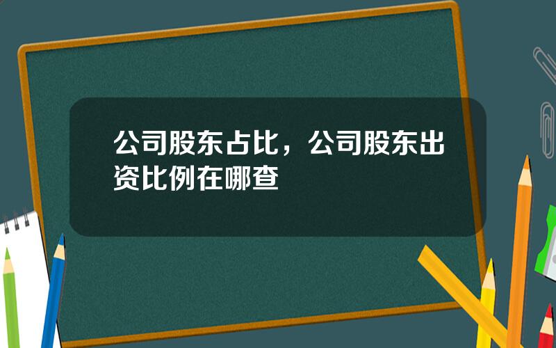 公司股东占比，公司股东出资比例在哪查