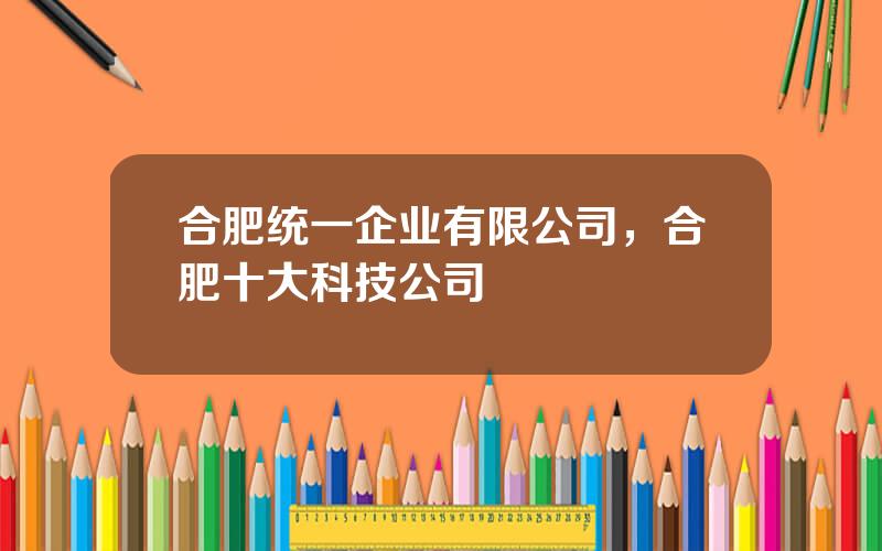 合肥统一企业有限公司，合肥十大科技公司