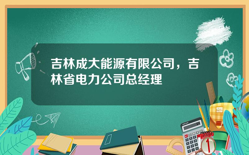 吉林成大能源有限公司，吉林省电力公司总经理