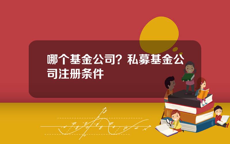 哪个基金公司？私募基金公司注册条件