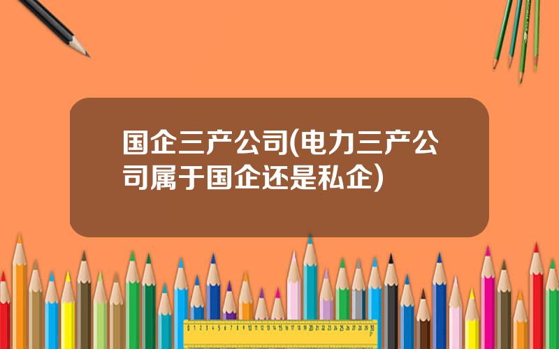 国企三产公司(电力三产公司属于国企还是私企)