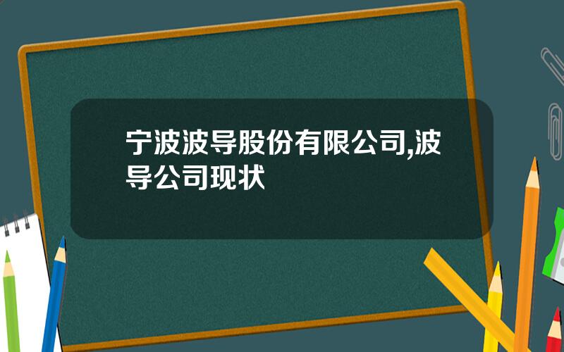 宁波波导股份有限公司,波导公司现状