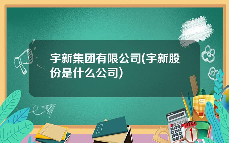 宇新集团有限公司(宇新股份是什么公司)