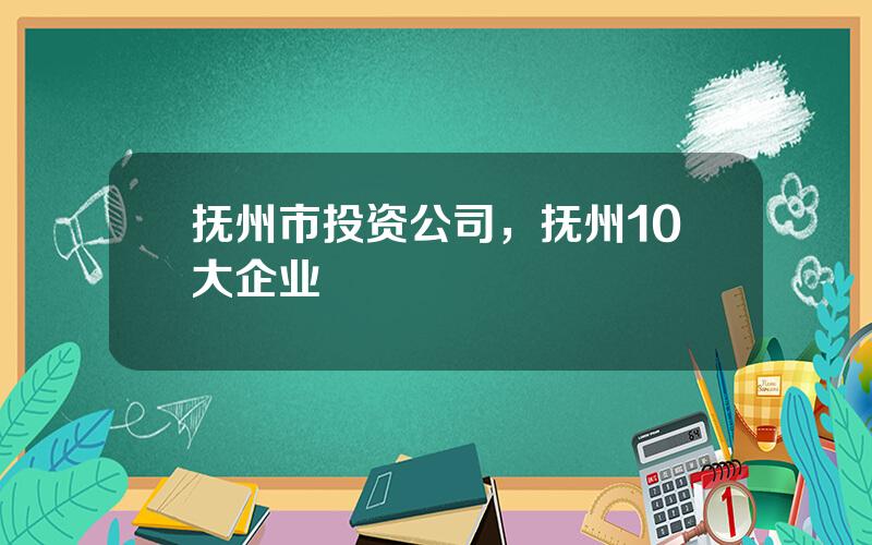抚州市投资公司，抚州10大企业