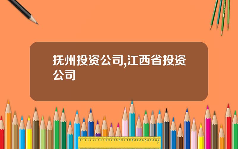 抚州投资公司,江西省投资公司