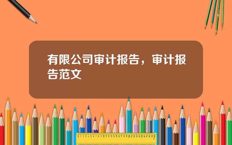 有限公司审计报告，审计报告范文