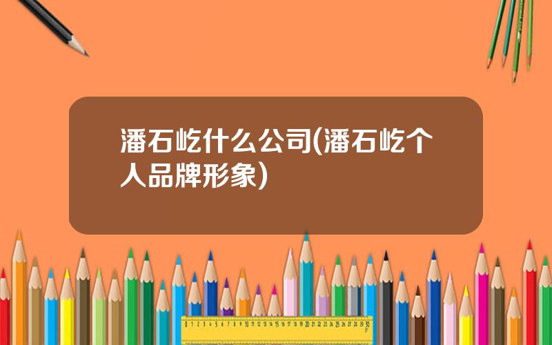 潘石屹什么公司(潘石屹个人品牌形象)