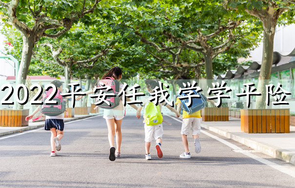 平安任我学学平险怎么样？多少钱一年？