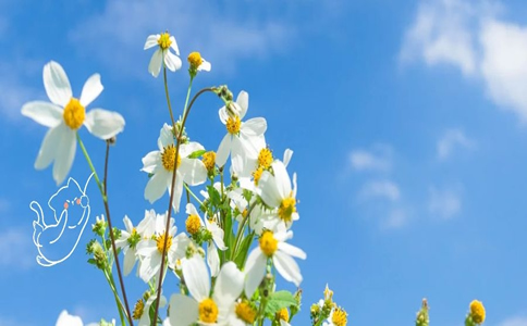 10岁重疾险，10岁重疾险50万保额保费多少